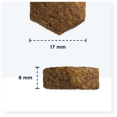 EUKANUBA EUKANUBA Senior Lamb & Rice Bag 12kg - sucha karma dla psa - 12 kg EUKANUBA EUKANUBA Senior Lamb & Rice Bag 12kg - sucha karma dla psa - 12 kg