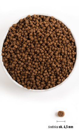 ACANA ACANA Puppy Small Breed 6kg