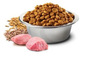 Farmina FARMINA N&D Ancestral Grain Selection Adult Medium & Maxi - sucha karma dla psa - 12kg + 3kg