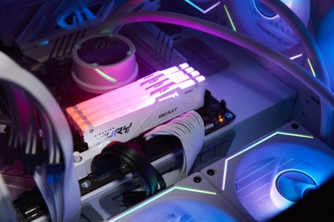 Kingston KINGSTON DDR5 32GB 6000MT/s CL36 DIMM (Kit of 2) FURY Beast White RGB EXPO Kingston KINGSTON DDR5 32GB 6000MT/s CL36 DIMM (Kit of 2) FURY Beast White RGB EXPO