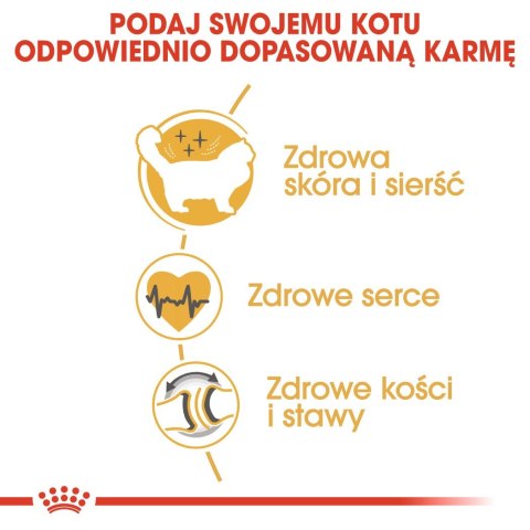 Royal Canin Karma Royal Canin FBN Ragdoll (2 kg ) Royal Canin Karma Royal Canin FBN Ragdoll (2 kg )