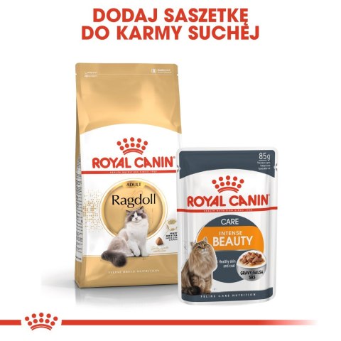 Royal Canin Karma Royal Canin FBN Ragdoll (2 kg ) Royal Canin Karma Royal Canin FBN Ragdoll (2 kg )