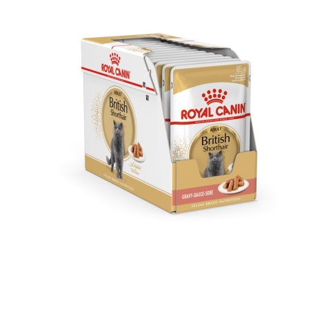 Royal Canin ROYAL CANIN FBN British Shorthair Adult - mokra karma dla dorosłego kota - 12x85g Royal Canin ROYAL CANIN FBN British Shorthair Adult - mokra karma dla dorosłego kota - 12x85g