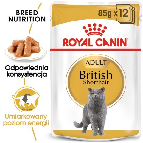 Royal Canin ROYAL CANIN FBN British Shorthair Adult - mokra karma dla dorosłego kota - 12x85g Royal Canin ROYAL CANIN FBN British Shorthair Adult - mokra karma dla dorosłego kota - 12x85g
