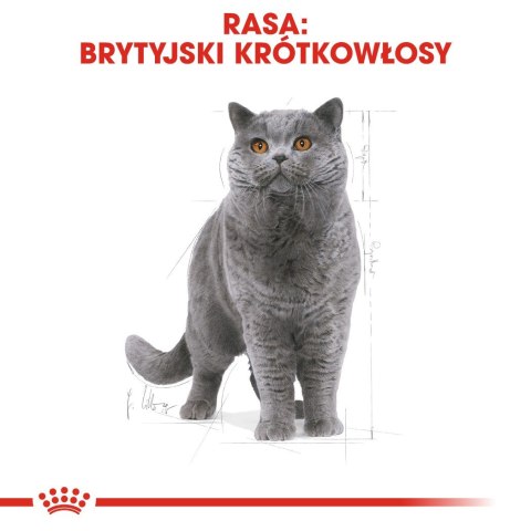 Royal Canin ROYAL CANIN FBN British Shorthair Adult - mokra karma dla dorosłego kota - 12x85g Royal Canin ROYAL CANIN FBN British Shorthair Adult - mokra karma dla dorosłego kota - 12x85g