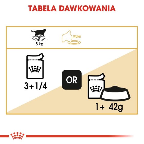Royal Canin ROYAL CANIN FBN British Shorthair Adult - mokra karma dla dorosłego kota - 12x85g Royal Canin ROYAL CANIN FBN British Shorthair Adult - mokra karma dla dorosłego kota - 12x85g