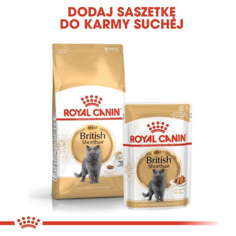 Royal Canin ROYAL CANIN FBN British Shorthair Adult - mokra karma dla dorosłego kota - 12x85g Royal Canin ROYAL CANIN FBN British Shorthair Adult - mokra karma dla dorosłego kota - 12x85g