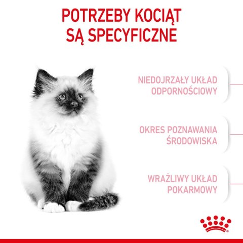 Royal Canin ROYAL CANIN FHN Kitten - sucha karma dla kociąt - 10kg Royal Canin ROYAL CANIN FHN Kitten - sucha karma dla kociąt - 10kg
