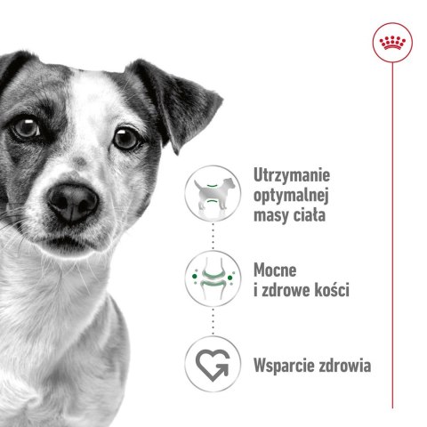 Royal Canin ROYAL CANIN Mini Adult 2kg Royal Canin ROYAL CANIN Mini Adult 2kg