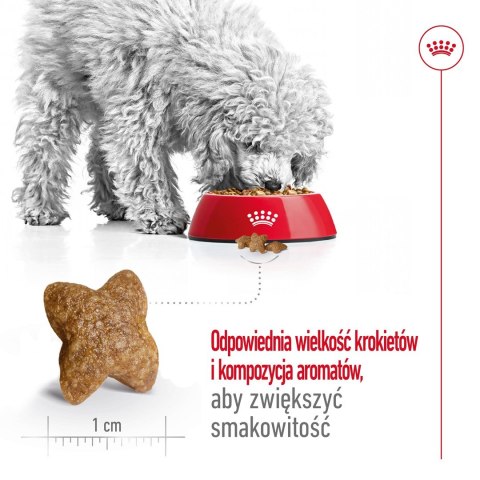 Royal Canin ROYAL CANIN Mini Adult 2kg Royal Canin ROYAL CANIN Mini Adult 2kg