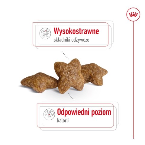 Royal Canin ROYAL CANIN Mini Adult 2kg Royal Canin ROYAL CANIN Mini Adult 2kg