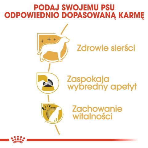 Royal Canin Royal Canin BHN Yorkshire Terrier Adult - sucha karma dla psa dorosłego - 1,5 kg Royal Canin Royal Canin BHN Yorkshire Terrier Adult - sucha karma dla psa dorosłego - 1,5 kg