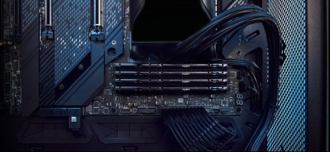 Kingston KINGSTON DDR5 32GB 6000MT/s CL30 DIMM (Kit of 2) FURY Beast Black XMP (WYPRZEDAŻ) Kingston KINGSTON DDR5 32GB 6000MT/s CL30 DIMM (Kit of 2) FURY Beast Black XMP (WYPRZEDAŻ)