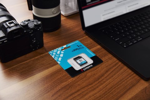 Kingston Karta pamięci Kingston Canvas Go Plus SDG4/1TB (1TB; Class U3, V30; Karta pamięci) Kingston Karta pamięci Kingston Canvas Go Plus SDG4/1TB (1TB; Class U3, V30; Karta pamięci)