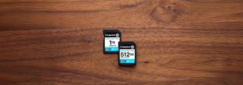Kingston Karta pamięci Kingston Canvas Go Plus SDG4/512GB (512GB; Class U3, V30; Karta pamięci) Kingston Karta pamięci Kingston Canvas Go Plus SDG4/512GB (512GB; Class U3, V30; Karta pamięci)