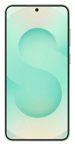 Samsung Samsung Galaxy S25 (S931) 5G DS 12/256GB Mint