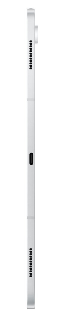Samsung Samsung Galaxy Tab S10 Ultra (X920) WiFi 12/512GB Silver Samsung Samsung Galaxy Tab S10 Ultra (X920) WiFi 12/512GB Silver