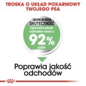 Royal Canin ROYAL CANIN CCN MINI DIGESTIVETIVE CARE - sucha karma dla psa dorosłego - 3kg