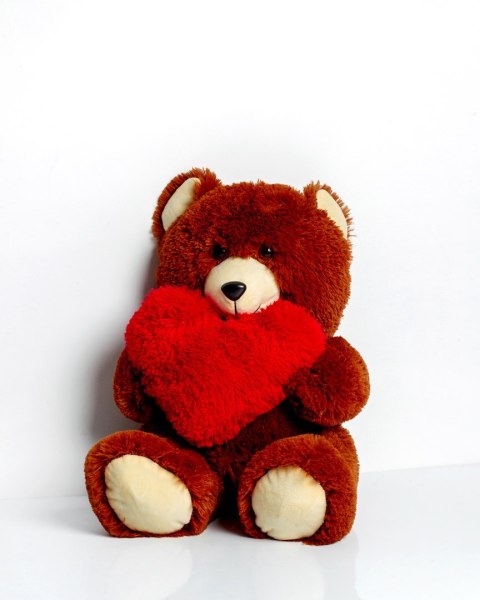 Go Gift Miś FRANK 50cm brązowy Go Gift Miś FRANK 50cm brązowy