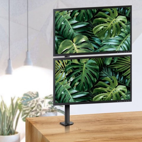 Maclean MACLEAN UCHWYT DO MONITORAMAX VESA 100X100, 13-27", 9KG, PODWÓJNY MC-967