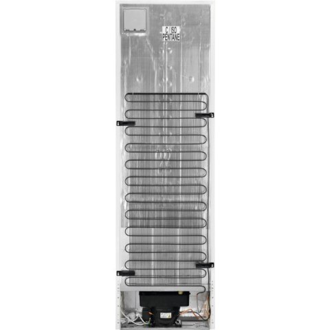 Electrolux Chłodziarko-zamrażarka ELECTROLUX LNT7ME36X3 Electrolux Chłodziarko-zamrażarka ELECTROLUX LNT7ME36X3