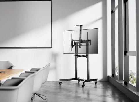 GEMBIRD GEMBIRD STOJAK POD TELEWIZOR REGULACJĄ WYSOKOŚCI MOBILNY, NA KÓŁKACH, 55"-100" GEMBIRD GEMBIRD STOJAK POD TELEWIZOR REGULACJĄ WYSOKOŚCI MOBILNY, NA KÓŁKACH, 55"-100"