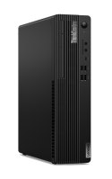 Lenovo Lenovo ThinkCentre M75s G5 SFF Ryzen 3 8300G 8GB DDR5 5200 SSD256 Radeon 740M Graphics DVD W11Pro Black 3Y OnSite