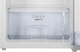 Gorenje Chłodziarka GORENJE RB492PW