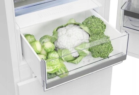 Gorenje Chłodziarka GORENJE RB492PW Gorenje Chłodziarka GORENJE RB492PW