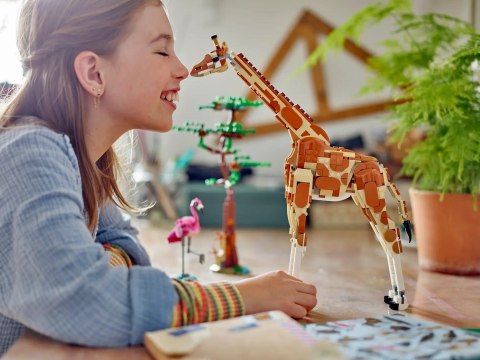 Lego LEGO Creator 31150 Dzikie zwierzęta z safari Lego LEGO Creator 31150 Dzikie zwierzęta z safari