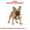Royal Canin ROYAL CANIN BHN French Bulldog Adult - sucha karma dla psa dorosłego - 9kg
