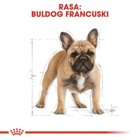 Royal Canin ROYAL CANIN BHN French Bulldog Adult - sucha karma dla psa dorosłego - 9kg
