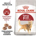Royal Canin ROYAL CANIN FHN Regular Fit 32 - sucha karma dla kota dorosłego - 2 kg