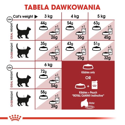 Royal Canin ROYAL CANIN FHN Regular Fit 32 - sucha karma dla kota dorosłego - 2 kg