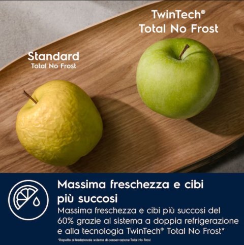 Electrolux Chłodziarko-zamrażarka ELECTROLUX LNT6NE18S