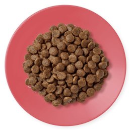 Applaws Applaws Cat Dry Chicken with Extra Duck 400g