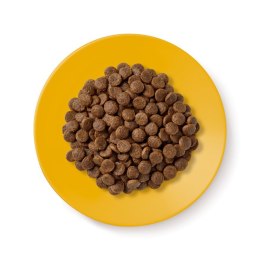 Applaws Applaws Cat Dry Senior Chicken 2kg