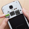 PNY Technologies Karta pamięci PNY microSDXC 64GB