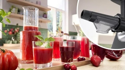 BOSCH Maszynka do mielenia BOSCH MFW S650B BOSCH Maszynka do mielenia BOSCH MFW S650B