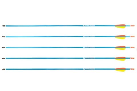 POE LANG Strzały aluminiowe 30" BLUE Poe Lang - zestaw 5 szt POE LANG Strzały aluminiowe 30" BLUE Poe Lang - zestaw 5 szt