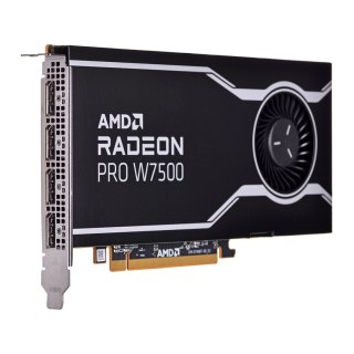 AMD Karta graficzna AMD Radeon Pro W7500 8GB GDDR6, 4x DisplayPort 2.1, 70W, PCI Gen4 x8