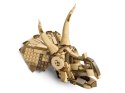 Lego LEGO JURASSIC WORLD 76969 Szkielety dinozaurów: czaszka triceratopsa