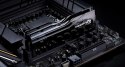 G.SKILL G.SKILL TRIDENT Z5CK DDR5 CUDIMM 2X24GB 9000MHZ CL42 RGB F5-9000C4256H24GX2-TZ5CK