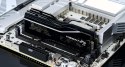 G.SKILL G.SKILL TRIDENT Z5CK DDR5 CUDIMM 2X24GB 9000MHZ CL42 RGB F5-9000C4256H24GX2-TZ5CK