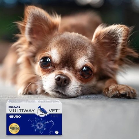 JM Sante JM SANTE MULTIWAY VET DUOCAPS NEURO 10tabl JM Sante JM SANTE MULTIWAY VET DUOCAPS NEURO 10tabl