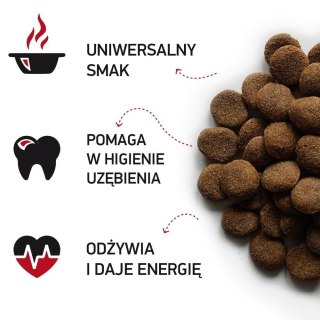 BIOFEED BIOFEED NASZ PIES Z WOŁOWINĄ 15 KG (WYPRZEDAŻ)