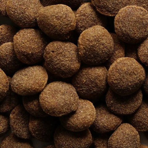 BIOFEED BIOFEED NASZ PIES Z WOŁOWINĄ 15 KG (WYPRZEDAŻ)