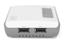 DIGITUS DIGITUS SERWER SIECIOWY WIELOFUNKCYJNY, BEZPRZEWODOWY 2-PORTOWY, USB 2.0, 300MBPS DN-13024