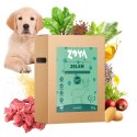 ZOYA ZOYA COLDPRO Jeleń sucha karma dla psa 3kg ZOYA ZOYA COLDPRO Jeleń sucha karma dla psa 3kg