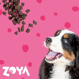 ZOYA ZOYA COLDPRO Wołowina sucha karma dla psa 3kg